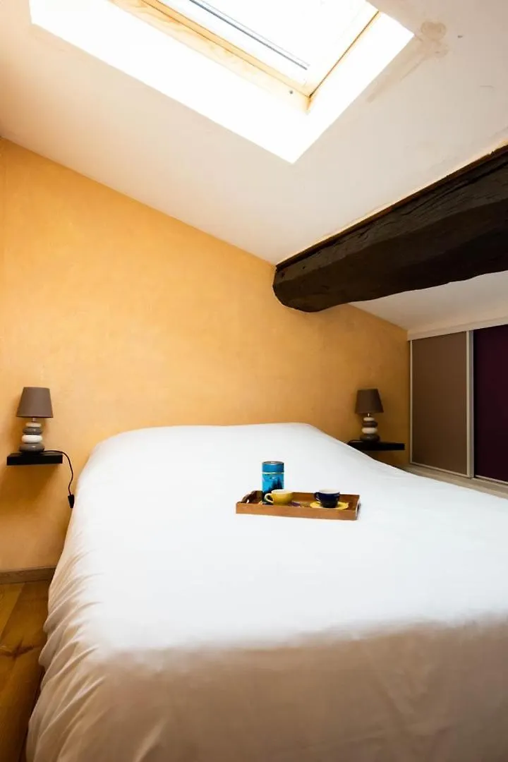 La Loge De Fourviere - 55M2 Vieux Lyon Apartment France