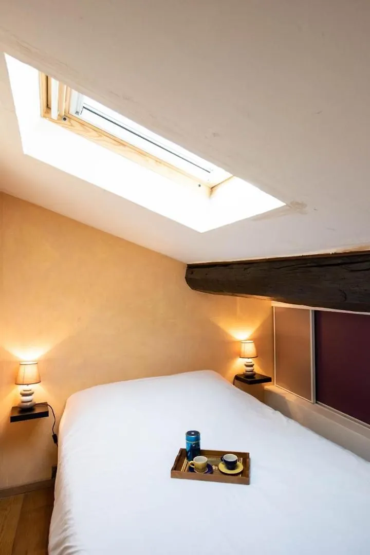 La Loge De Fourviere - 55M2 Vieux Lyon Apartment France